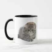 Persian Kitten (2 maanden oud) met stro Mok (Links)