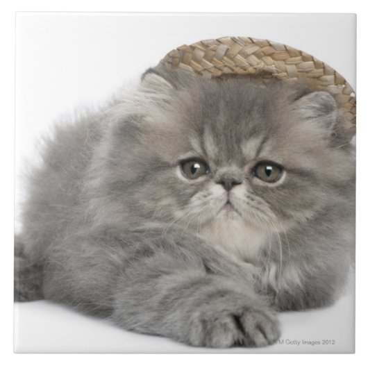 Persian Kitten (2 maanden oud) met stro Tegeltje (Voorkant)