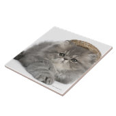 Persian Kitten (2 maanden oud) met stro Tegeltje (Zijkant)