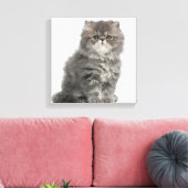 Persian Kitten (2 maanden oud) zittend Canvas Afdruk (Insitu (Woonkamer))