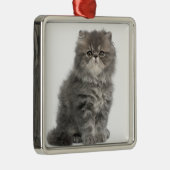 Persian Kitten (2 maanden oud) zittend Metalen Ornament (Rechts)