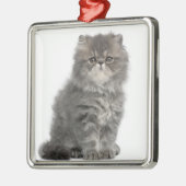 Persian Kitten (2 maanden oud) zittend Metalen Ornament (Links)