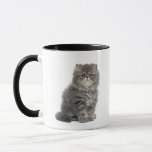 Persian Kitten (2 maanden oud) zittend Mok