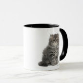 Persian Kitten (2 maanden oud) zittend Mok (Voorkant rechts)
