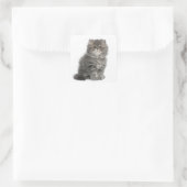 Persian Kitten (2 maanden oud) zittend Vierkante Sticker (Tas)