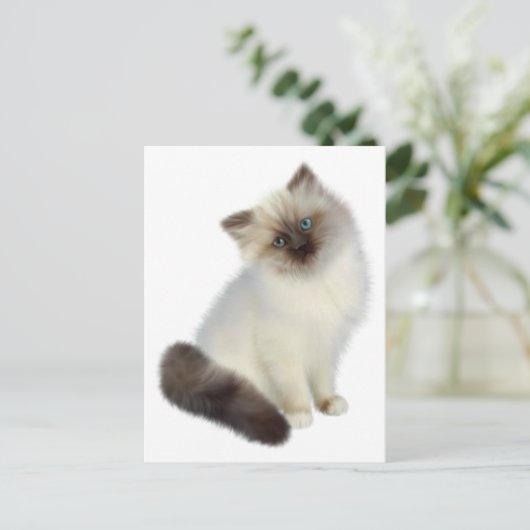 Persian Kitten Briefkaart (Staand voorkant)