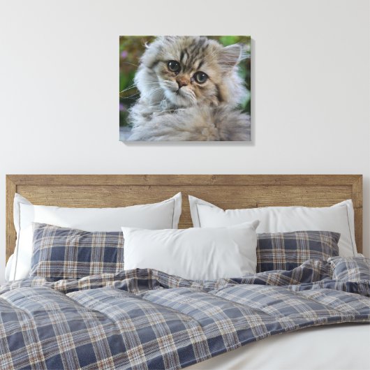  Persian Kitten Canvas Afdruk (Insitu (Slaapkamer))