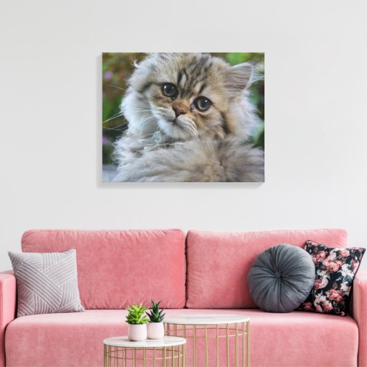  Persian Kitten Canvas Afdruk (Insitu (Woonkamer))