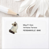 Persian Kitten Etiket (Insitu)