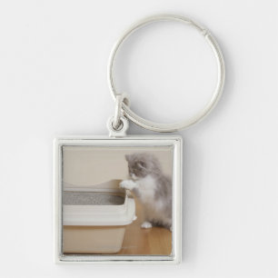 Persian Kitten kijkt naar de vuilnisbak Sleutelhanger