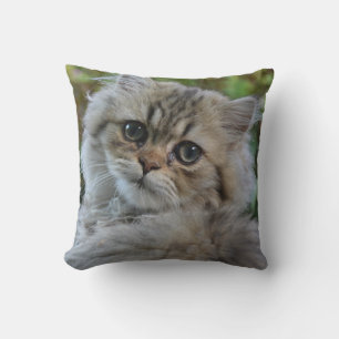 Persian Kitten Kussen