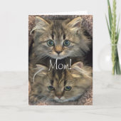 Persian Kitten Moederdag Kaart (Voorkant)