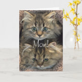 Persian Kitten Moederdag Kaart (Gele Bloem)