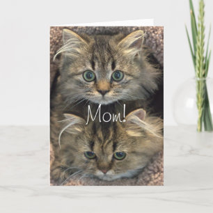 Persian Kitten Moederdag Kaart