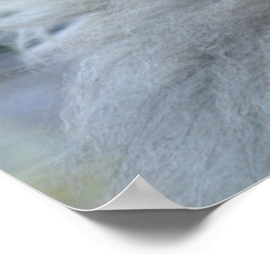  Persian Kitten Poster (Hoek)