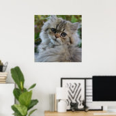  Persian Kitten Poster (Thuiskantoor)