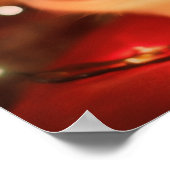 Persian Kitten Poster - Zacht Bont & Grote Ogen -  (Hoek)