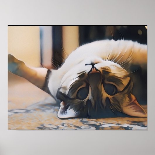 Persian Kitten Poster - Zacht Bont & Grote Ogen -  (Voorkant)