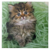 Persian Kitten Tegeltje (Voorkant)