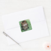 Persian Kitten Vierkante Sticker (Envelop)