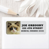 PERSIAN RAGDOLL CAT Retour Adreslabels Etiket (Insitu)