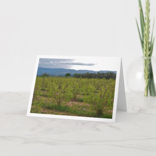 Persimmon Bomen en Berglandschap Kaart (Voorkant)