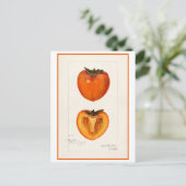 Persimmon  botanische illustratie briefkaart (Staand voorkant)