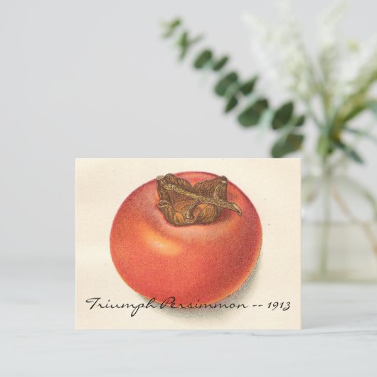  Persimmon-Briefkaart Briefkaart (Staand voorkant)