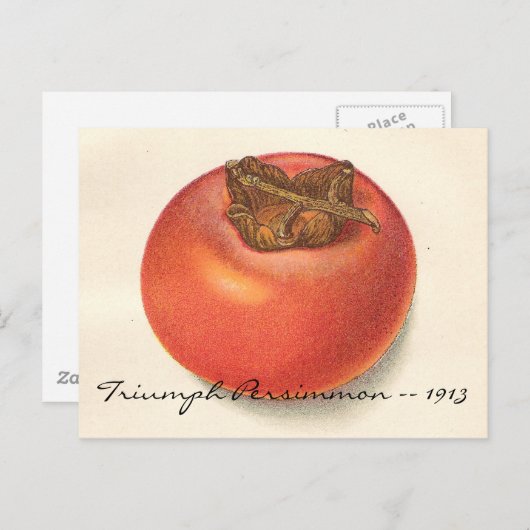  Persimmon-Briefkaart Briefkaart (Voorkant / Achterkant)