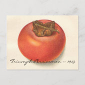  Persimmon-Briefkaart Briefkaart (Voorkant)