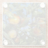 Persimmon Fruit Beauful Original Artwork Glazen Onderzetter (Achterkant)