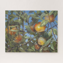 Persimmon Fruit Beauful Original Artwork