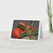 Persimmon Fruit Portret Kaart (Voorkant)