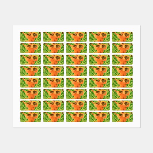 Persimmon (kaki) labels (Vel)