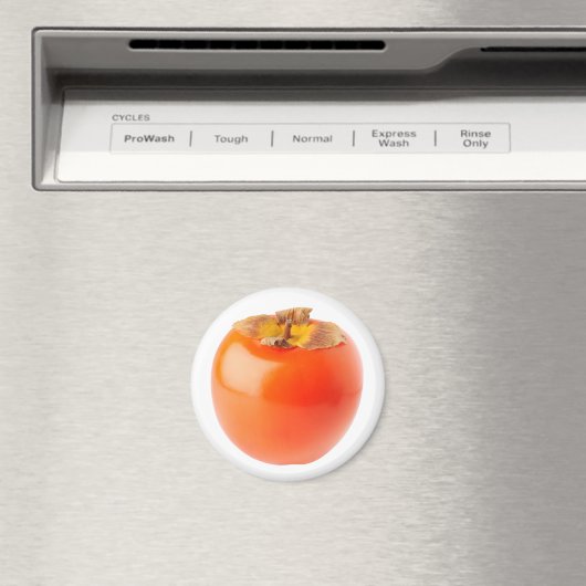 Persimmon Magneet (Insitu (Vaatwasser))
