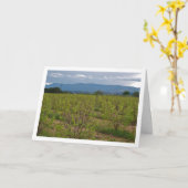 Persimmon Trees and Mountain Landscape Card Kaart (Gele Bloem)