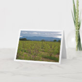 Persimmon Trees and Mountain Landscape Card Kaart (Voorkant)