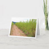 Persimmon Trees in de lente Kaart (Voorkant)