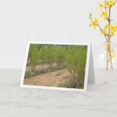 Persimmon Trees in de lente Kaart (Gele Bloem)