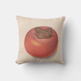  Persimmons American Jo Kussens