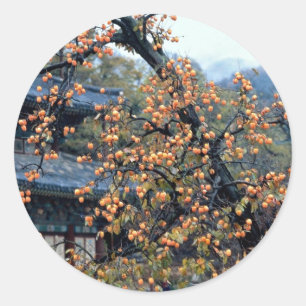 Persimmons, herfst ronde sticker