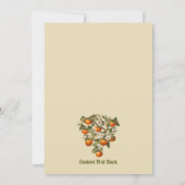 Persimmons Kaart (Achterkant)