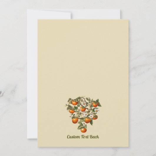 Persimmons Kaart (Achterkant)