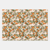 Persimmons Patroon Inpakpapier Vel (Voorkant 2)