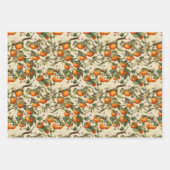 Persimmons Patroon Inpakpapier Vel (Voorkant)