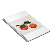 Persimmons van Kōno Bairei (1844-1895) Notitieboek (Rechterzijde)