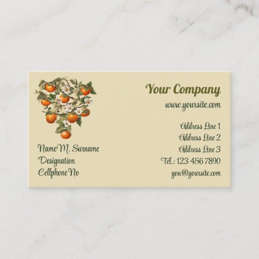 Persimmons Visitekaartje (Voorkant)