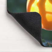 persimmonvrucht muismat (Hoek)