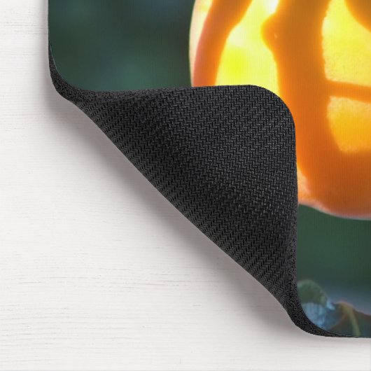 persimmonvrucht muismat (Hoek)