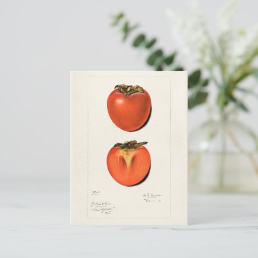  persimons Waterverf Briefkaart (Staand voorkant)